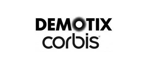 Enterprise App Development Client - Demotix